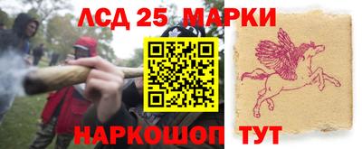 индика Наро-Фоминск