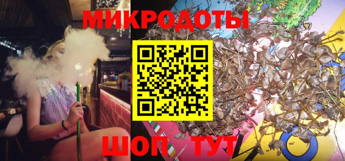 Галлюциногенные грибы MAGIC MUSHROOMS  Псилоцибиновые грибы ЛСД  Вход с VPN  Верхняя Пышма 